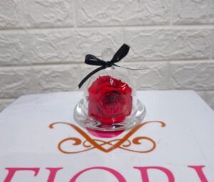 E-6 Rosa Eterna roja en capelo