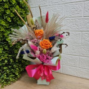 E-6 Diseño Vibra Eterna