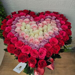 G-13 Corazón Degradé