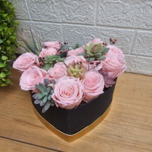 E-2 Diseño Infinita