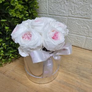 E-4 Diseño Amor sin fin