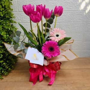 A-27 Diseño Tu y Yo