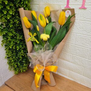 B-21 Luz de Primavera