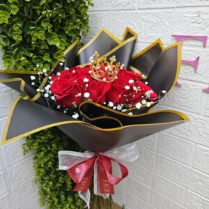 SV-12 Mi única reina