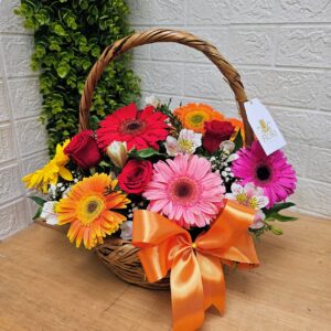 Ma3 - Celebremos a Mamá