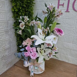 Ma9 - Nube de Ternura