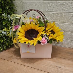 PE10 Sun box