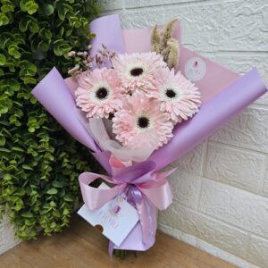 PE7 Gerberas
